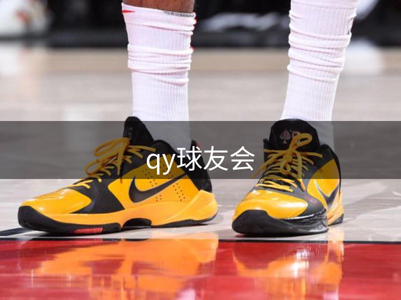 qy球友会概况
